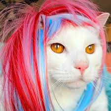 Follow me @jackiepg379 Please vote for cover.inkedmag.com/2023/ jacqueline-gorham