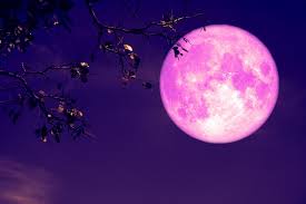 Luna piena giugno 2021 capricorn 3°27', june 24, oroscopo giugno calendario online 2021. Pdz44ptfjpcl M