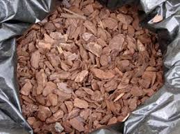 Rindenmulch Vor Und Nachteile Preise Und Anwendung Rindenmulch Mulchen Garten