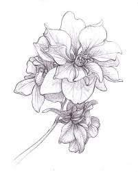Https Vk Com Tattoo Maza Tattoo Rouse Cvety Rozy Eskizy Dlya Tatu Tattoo Maza Tattoo Eski Larkspur Flower Tattoos Larkspur Tattoo Birth Flower Tattoos Flower, botany, larkspur, ranunculaceae, petals. birth flower tattoos