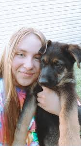 Pupper found in Brooks, KY. Please share to help him get home!