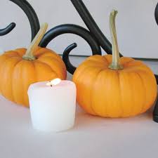 We have everyone's a winner tombola, 10p treasure stall, cakes for sale. Pumpkins Jack Be Little Pumpkin Pumpkin Pumpkin Jack Pumpkin Squash