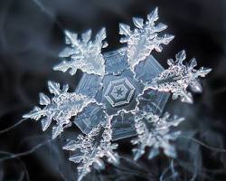 Fractal patterns in snowflakes