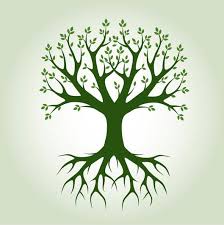 Maybe you would like to learn more about one of these? Functional Medicine Is It The Future Of Healthcare Or Just Another Wellness Trend Independent Ie