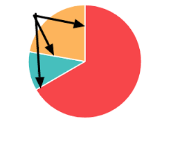 how can i remove the white border from chart js pie chart