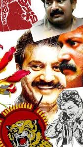 Discover 12 viki ideas