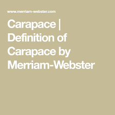 Carapace Definition Of Carapace By Merriam Webster Definitions Merriam Webster Words