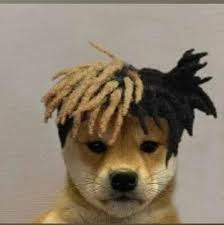 Pin By Miguel On Vbh Dog Images Dog Icon Cute Animals