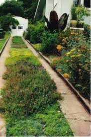 There are several different types that you can use, so what you use is simply a matter of personal preference. 16 Drive Ideas Landscape Design Garden Design Hardscape