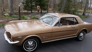 Image result for Prairie Bronze 1964 Mustang