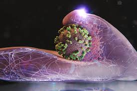 Image result for Influenza