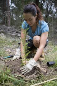 Que Faire Au Jardin En Septembre Jardins Que Planter En Septembre Et Jardinage