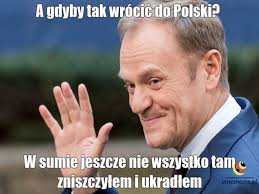 Donald franciszek tusk prime minister of poland incumbent assumed office 16 november 2007 donald franciszek tusk ˈdɔnalt franˈt ͡ɕiʂɛk ˈtusk ( listen) (born 22 april 1957) is a polish politician. Tuskcomeback Hashtag On Twitter