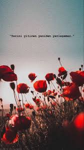 Gozde Girgin Adli Kullanicinin Story Panosundaki Pin 2020 Resimler Resimli Alintilar Pozitif Alintilar