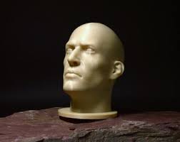 Planar Head 3D Bust: Artistic Reference Model for Painters, Sculptors &  Portrait Studies