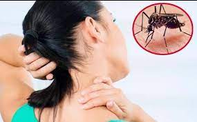 Jun 24, 2021 · querida hija: Sintomas Y Tratamiento Del Dengue Una Fiebre Quebrantahuesos Que Se Confunde Con Una Gripe La Verdad
