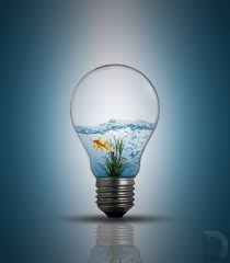 Bulb And Fish Light Bulb Art Creative Design Art Surrealism Photography