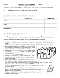 Is a semi solid connective tissue that is used as both a protective and supportive structure within the body. Snc2d Tissues Worksheet Name Reference Microviewer