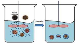 What is coagulation in water treatment. Plant Based Coagulants For Point Of Use Water Treatment A Review Bentham Science