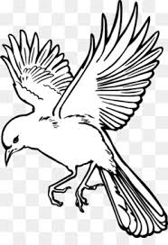 Bird Outline Png Flying Bird Outline Cute Bird Outline Cleanpng Kisspng Also bird outline png available at png transparent variant. bird outline png flying bird outline