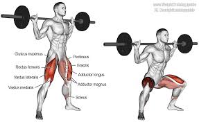 Barbell Sumo Squat Exercise Instructions And Video Weight Training Guide Squat Workout Best Gym Workout Lower Body Workout