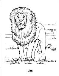 Learning video coloring for children. Realistic Lion Coloring Pages Zoo Coloring Pages Lion Coloring Pages Animal Coloring Pages