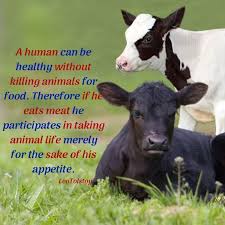 In Meat Eating Cultures Around The World People Typically Don T Think About Why They Eat Animals At All They Believe Animals Are Here Animals Eat Meat Human