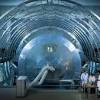 Physikalische grundlage von kernkraftwerken ist die energiefreisetzung bei der spaltung von schweren atomkernen. Https Encrypted Tbn0 Gstatic Com Images Q Tbn And9gcsjripfkjcnbqaaxvj4pkkcp2cc T7y7gigto7teq6ugtswuu5b Usqp Cau