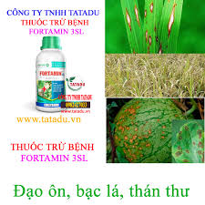 Fortamin 3SL