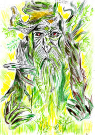 Drew struzan is an american artist known for his more than 150 movie posters and art, which include star wars and lord of the rings. Ents Treebeard Lord Of The Rings Trial By Comics Entry 2 Drawing Process Katari Steemkr