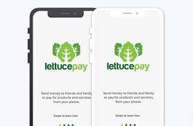 Buenas en este video os enseño mediante un metodo que enviando un codigo a blockchain te permite recibir 5000 dolares como maximo despues de 24 o 48 horas. Paymynt Financial Buys Crypto E Wallet Lettucepay Fintech Futures