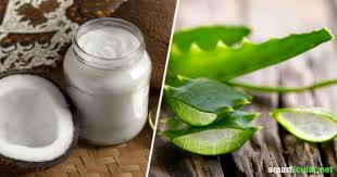 Allerdings habe ich keine guten erfahrungen gemacht mit kokosöl im rest des gesichts, da ich das. Trockene Haut Vorbeugen Und Pflegen Mit Aloe Vera Und Kokosol