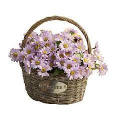 The right combination of drainage and moisture will yield breathtaking results. Blancho Bedding Artificial Flowers Hanging Basket Floral Basket Fake Flowers Daisy Purple