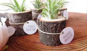 Dessa hanging air plant pods är designade av michael mcdowell specifikt för hur tillandsias växer bäst. More Air Plant Display Ideas That Seamlessly Blend Function And Style