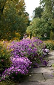 Wir möchten euch hier unser srtiment vorstellen. 13 Tipps Tricks Fur Einen Pflegeleichten Garten Freudengarten
