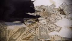 Make it rain — in the club gif. Best Cat Make It Rain Gifs Gfycat