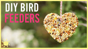 bird feeder easy kids craft