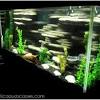 Aqua soil amazonia is the top class soil for plants growth and fish health. 1