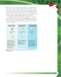 Animals and plant cells have a selectively permeable membrane around them that lets some chemicals pass. Biology For The Ib Diploma Second Edition By Cambridge University Press Education Issuu