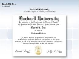 Bucknell University: Bachelors of Science :: Behance