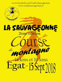 Surtout quand on n'est pas en bonne condition physique. 10 Dossards La Sauvageonne 2018 Pyrenees Orientales Jogging Plus Course A Pied Du Running Au Marathon