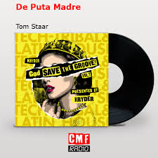 The story and meaning of the song 'De Puta Madre - Tom Staar '