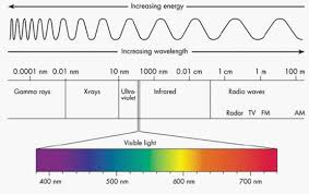 Uv detector is a very commonly used detector for hplc analysis. Seeing The Light An Overview Of Visible And Uv Vis Spectroscopy From Cole Parmer