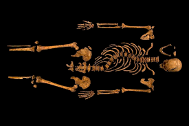 Feb 04, 2019 · richard, the last monarch of the house of york, grew up at middleham castle in the yorkshire dales. Bones Of Contention Why Richard Iii S Skeleton Won T Change History