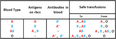 Rh Blood Group Chart Www Bedowntowndaytona Com