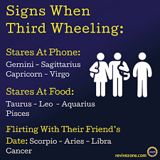 Between the crab with its thick shell, and the scorpion, a discreet, anxious and. Scorpio I Would Definitely Do That Zodiac Signs Gemini Zodiac Signs Zodiac Signs Scorpio