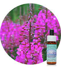 Fireweed Alaskan Essences Der Essenzenladen