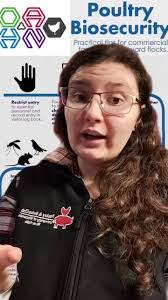 Kourtney Daniel's Instagram, Twitter & Facebook