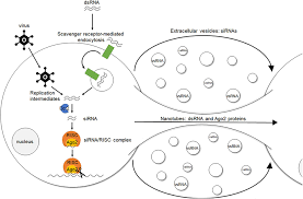 Biology as it relates to pest management research papers on products of uncertain chemical composition (e.g. Frontiers Rna Interference In Insects Protecting Beneficials And Controlling Pests Physiology