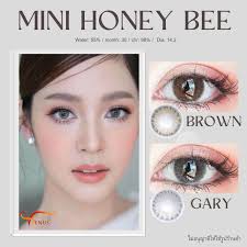 มาใหม่ คอนแทคเลนส์ Honey Bee Brown Gray(Kitty Kawaii)มีสายตาสั้นถึง  1000สีเทาสีน้ำตาลขนาดมินิสวย